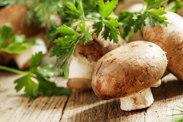 Royal brown mushrooms with a sprig of parsley and dill 