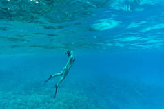 年轻的女士在热带海洋珊瑚礁水下游泳