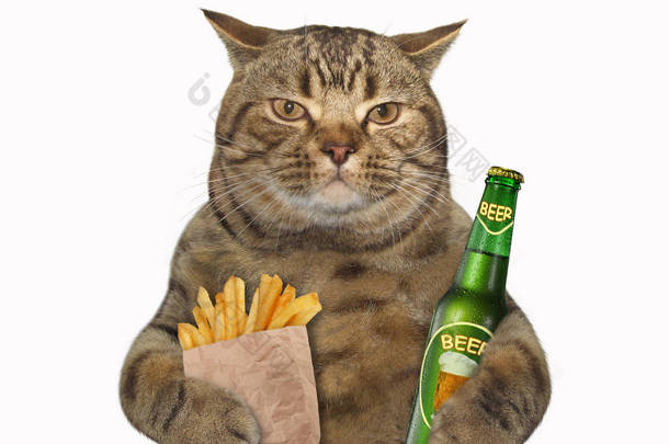 猫用啤酒和土豆