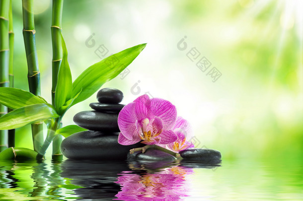 背景温泉-紫色兰花黑石头和上水竹