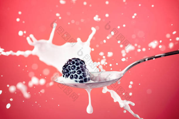 <strong>黑莓</strong>飞溅在牛奶上红色孤立