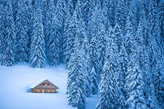在冬季仙境在阿尔卑斯山隐居的山中小屋