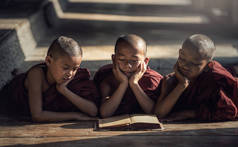 新手和尚看书，在修道院，缅甸蒲甘