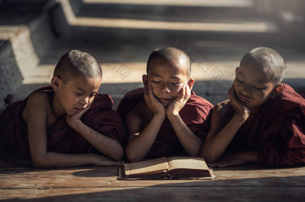 新手<strong>和尚</strong>看书，在修道院，缅甸蒲甘