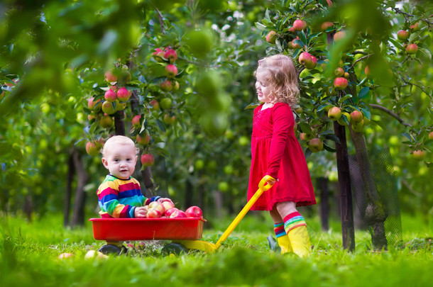 Kids playing in <strong>apple</strong> tree garden