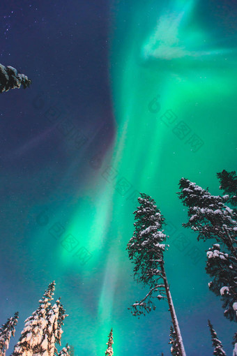 美丽的图画的大规模五彩绿色充满活力的北极光，极光，也知道作为北极光在夜空中拉普兰景观，挪威、 斯堪的那维亚越冬图片