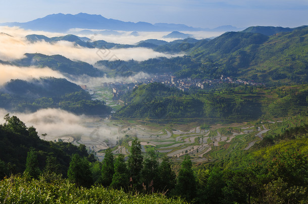 稻田中梯田日出, 