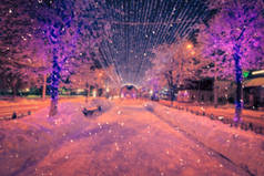 一张蓝色的照片，是一个冬夜公园，有灯笼和圣诞装饰品，下着大雪.
