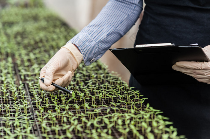 Biotechnology woman engineer with a clipboard and pen examining a plant for disease!