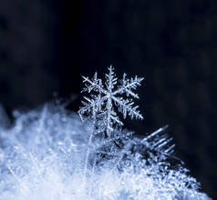 在雪上的雪花。这幅画是在温度的 8 C