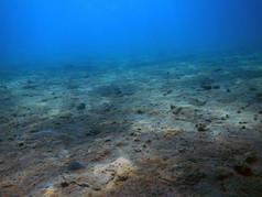 夏季亚得里亚海的海底