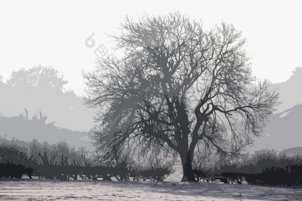 冬天的树，<strong>黄昏</strong>的时候被雪覆盖着