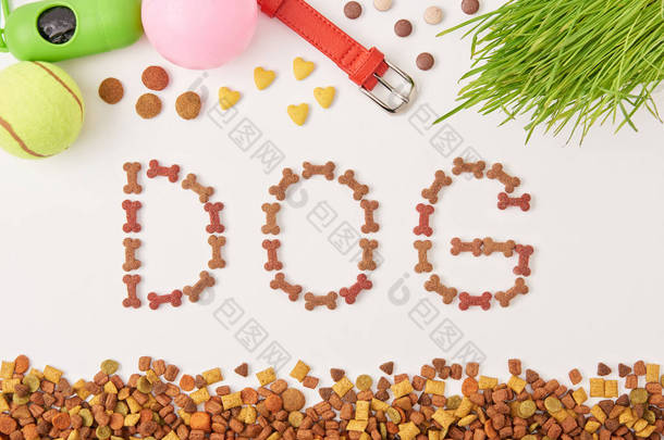 平躺在白色表面的草, 球和狗衣领附近的宠物食品制作的刻字狗