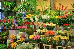 Florist ´ Shop