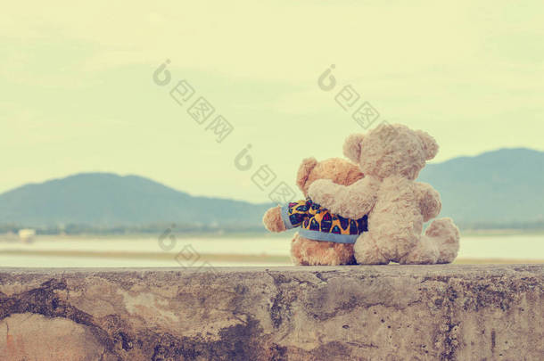 两只棕色的泰迪熊坐在水库边拥抱，互相拥抱。秋天望着江山.影像复古风格.