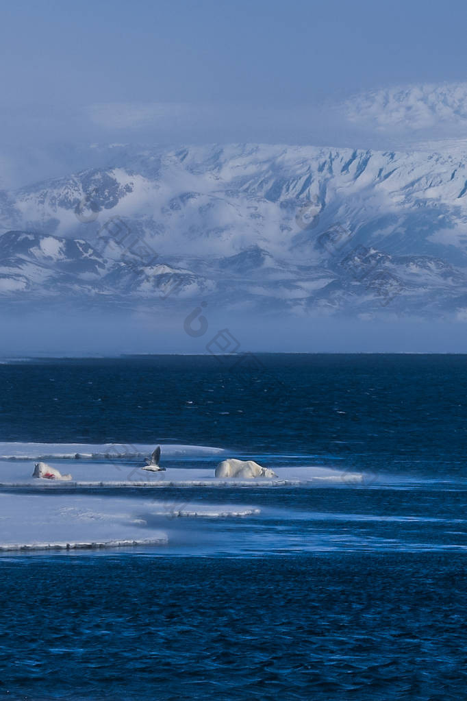 教会挪威的风景自然山的斯匹次卑尔根岛朗伊包图企业站