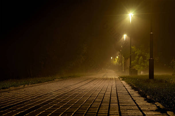 夜晚在公园被灯杆照亮的铺面小路 
