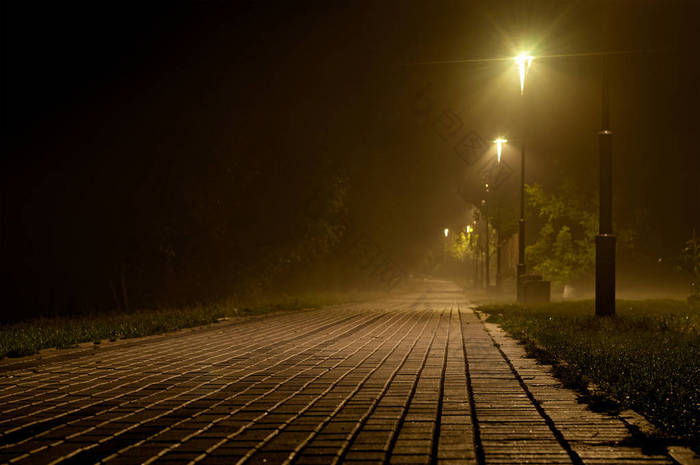 夜晚在公园被灯杆照亮的铺面小路 