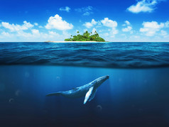 棕榈树的美丽岛屿。鲸在水下