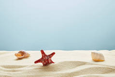 波浪纹理的金色沙与红色海星和贝壳在蓝色背景