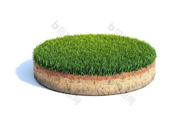 带草坪、生态、地质概念的圆柱形地面横截面、用白色隔离的土壤样品、 3D图解
