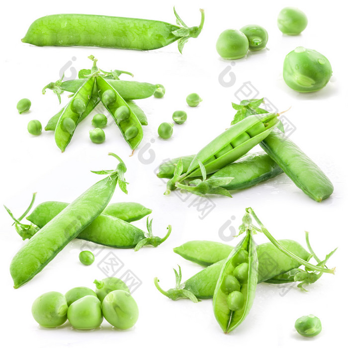 收集新鲜绿色豌豆荚和豌豆图片-包图网企业站