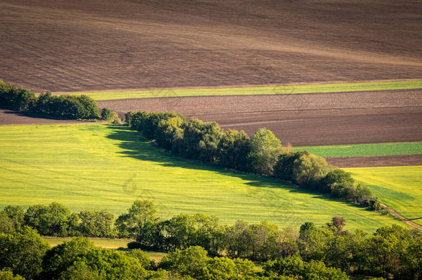 Ceske Stredohori, Czechia从空中俯瞰的绿地和黄地