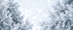 冬天抽象背景。在霜冻的松树树枝的圣诞景观