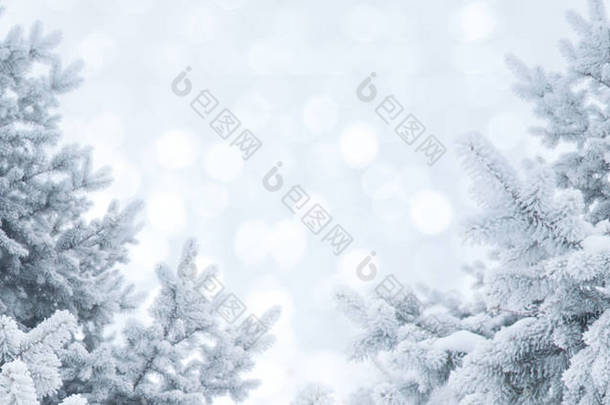<strong>冬天</strong>抽象背景。在<strong>霜冻</strong>的松树树枝的圣诞景观