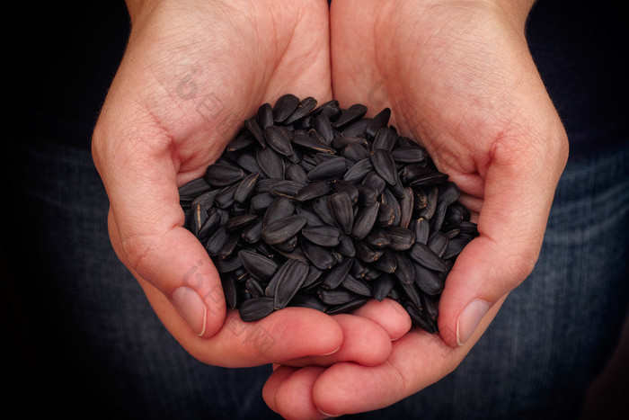 Woman holds fresh sunflower seeds in her palms