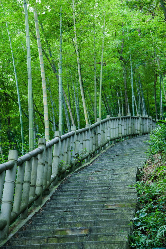 永川区，重庆茶竹景区