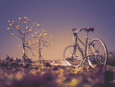 自行车与前卫的花树