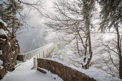 德国天鹅城堡附近的雪中树木和桥梁景观