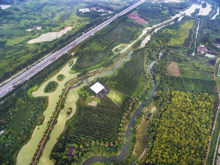 中国四川成都锦江区白鹭岛湿地