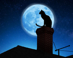 在屋顶上的猫.