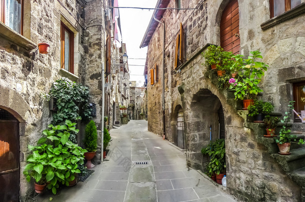 美丽的小巷，在<strong>具有</strong>历史意义的 Vitorchiano 镇，拉齐奥，意大利