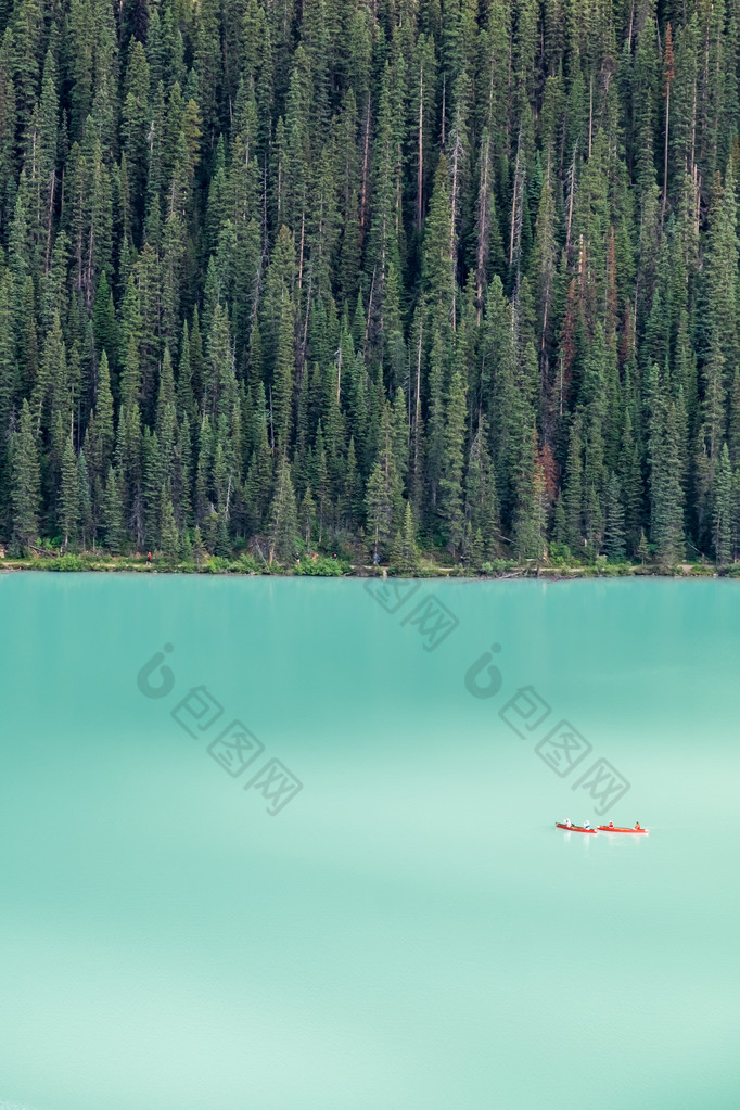 皮艇上林立的巨型 fir tre 路易斯湖 backdropped