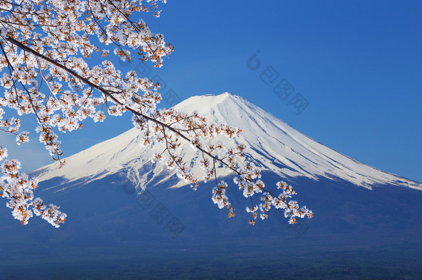 富士山，从湖河口湖的视图