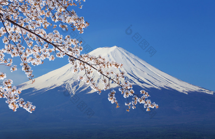 富士山，从湖河口湖的视图