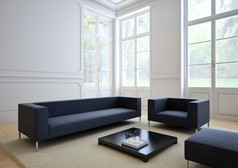 组织在现代的客厅里的沙发。3d 渲染