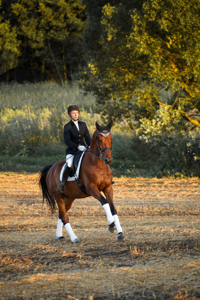 骑一匹马的女子马术运动员赛马会