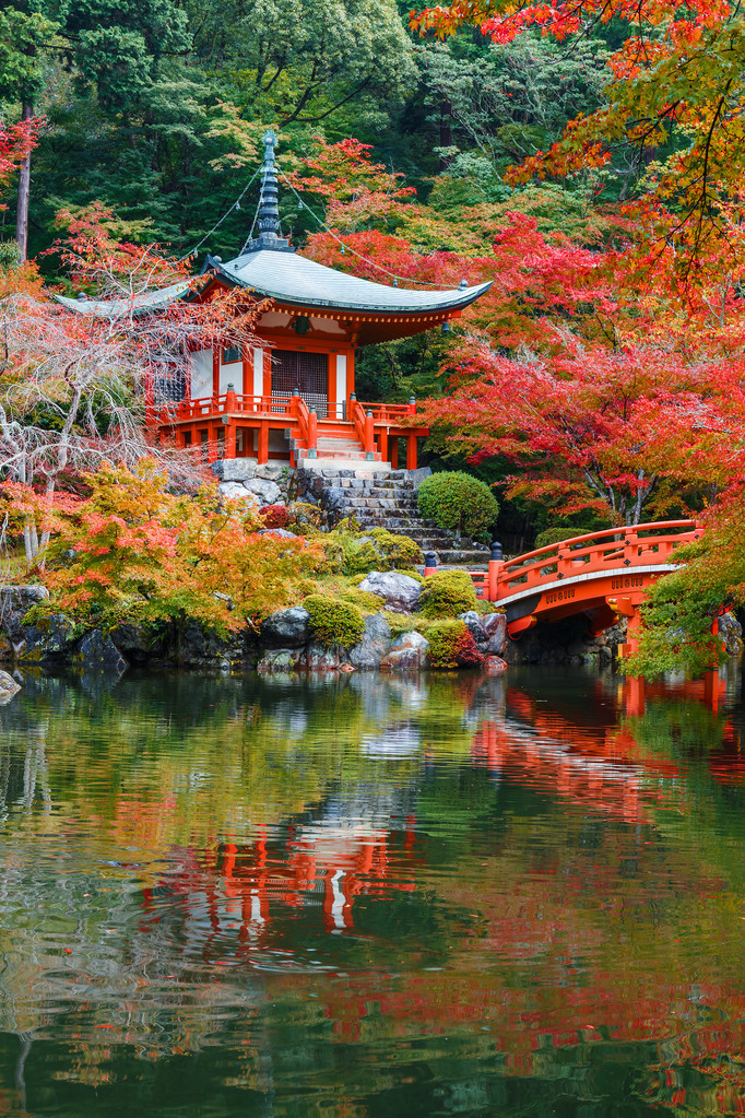 初秋在京都醐寺