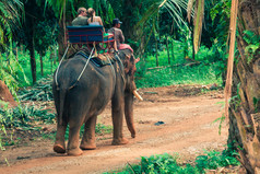 旅游集团穿越丛林骑在大象背上，