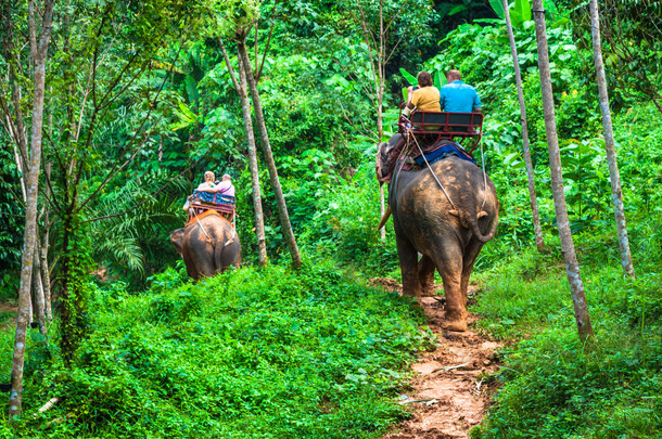 旅游集团穿越丛林骑在<strong>大象</strong>背上，