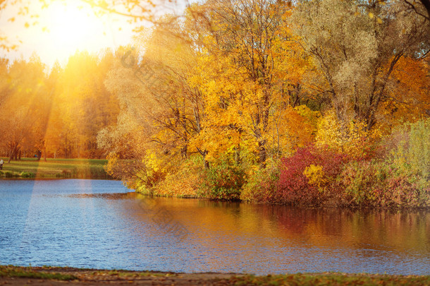 秋天的公园，在湖边.