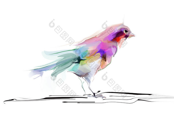 水彩绘图的可爱的鸟