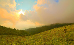 山中的夏日风景