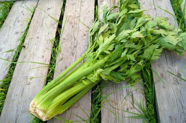 木材背景上的带肋<strong>芹菜</strong>