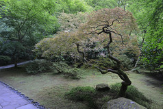 日本园林景观