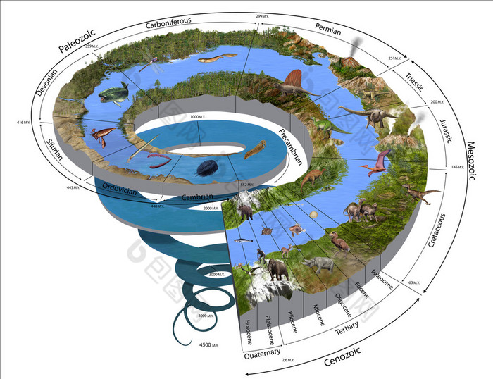 地质时期螺旋